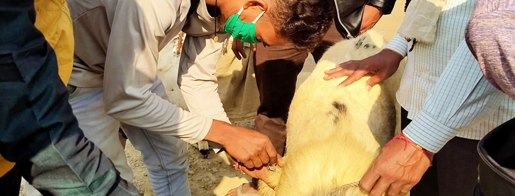 GIC Commercial Goat Farming Training Centre, Mathura